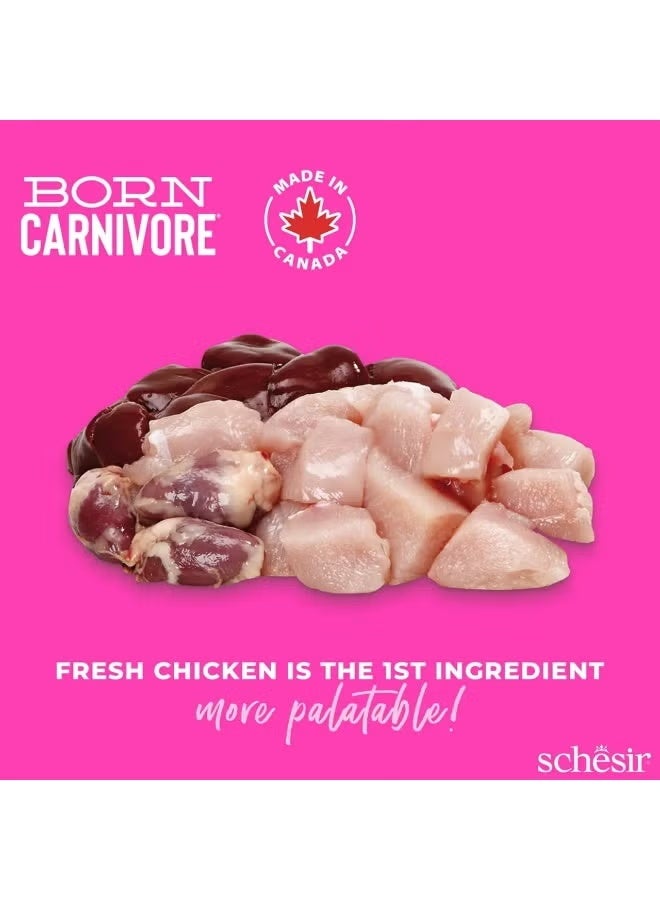 Schesir Born Carnivore Grain Free Oven Baked Kitten Dry Cat Food Chicken & Egg 1.25kg | High Protein Low Carb Formula for Growth, Digestion & Skin Coat Health - Image 3